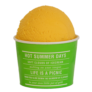 Mango Frozen Yoghurt