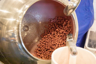 Pride Ruby Chocolate Coated Hazelnuts