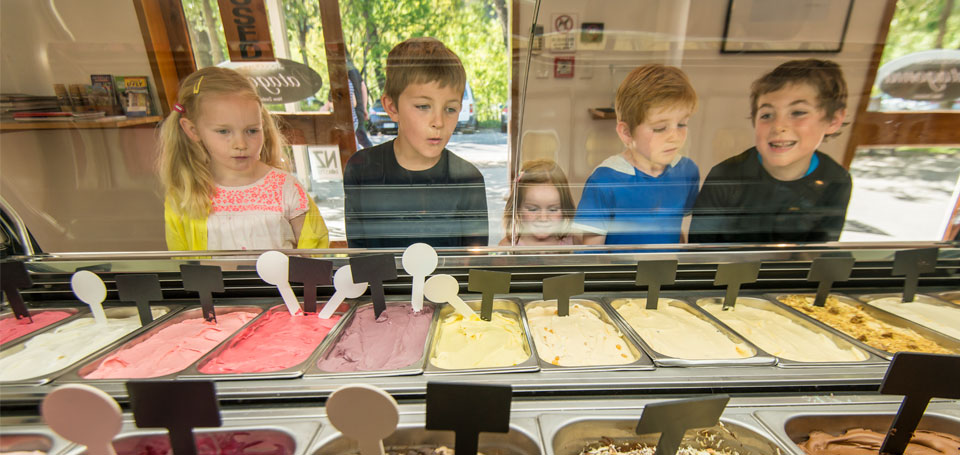Kids Looking at Ice Cream