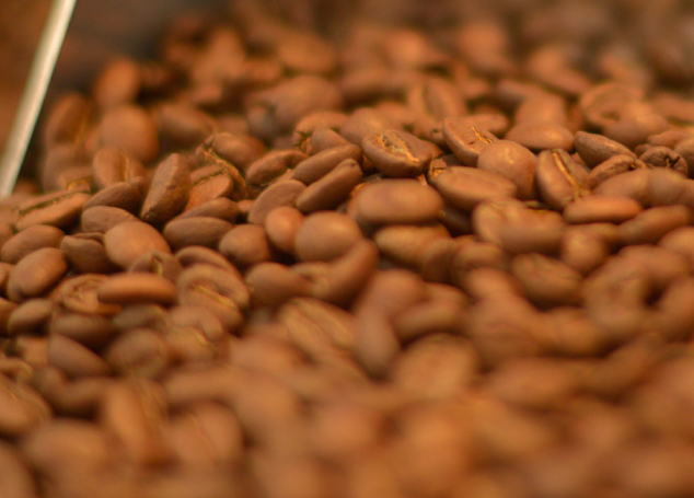 coffee patagonia