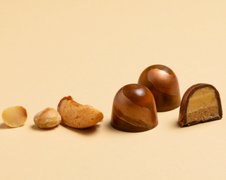 Apricot & Macadamia 6 Bonbons