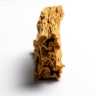 Gold Chocolate Rama